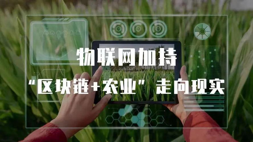 区块链溯源技术促进农业现代化发展
